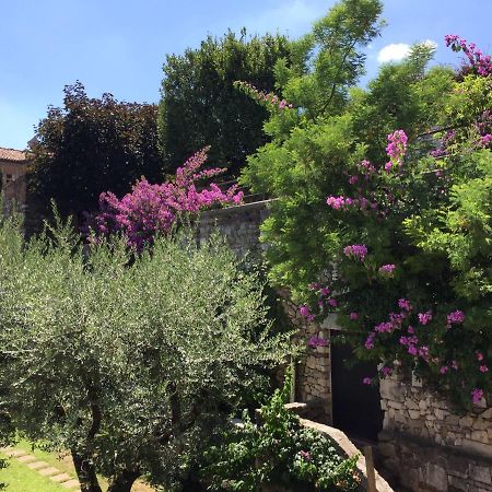 Apartmán Le Finestre Sugli Ulivi Desenzano del Garda Exteriér fotografie
